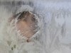 От морозов в Украине умер уже 151 человек