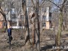В Керчи пилили деревья в парке
