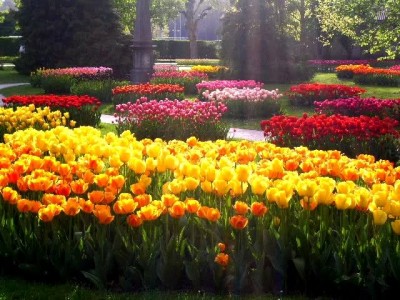 Фото ru.ukrainecityguide.com