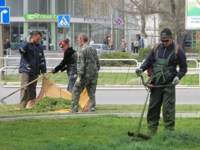 С приходом теплых дней коммунальные службы города приводят в порядок городские газоны и готовятся высаживать декоративные растения.