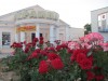 Феодосия сегодня (фоторепортаж)