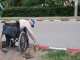 Этот старик с собачкой просит помочь животным, иногда его собачканабрасывается на прохожих с лаем