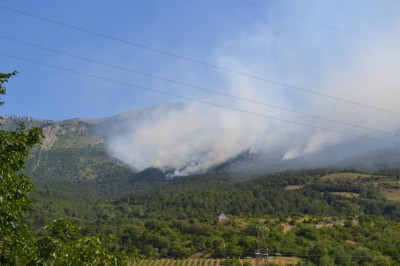 В Крыму опровергли слухи о поджоге заповедника (фото МЧС Крыма)