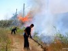 В Крыму пожары добрались уже до железной дороги (видео)