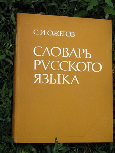 В Севастополе русский язык стал региональным (фото из интернета)