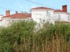 В Симферополе под носом у школьников разрослась огромная плантация амброзии (фото)