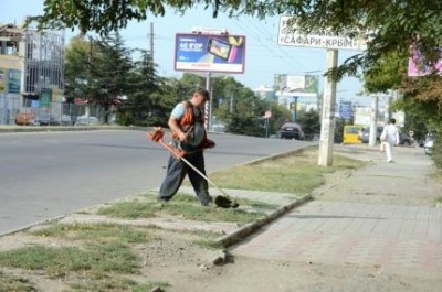 В Симферополе взялись за амброзию 