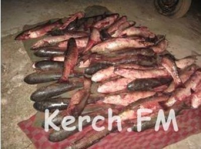 В Керчи поймали браконьеров 