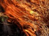 Опять горела сухая трава в Феодосии