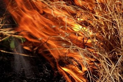 Опять горела сухая трава в Феодосии (фото из Интернета)