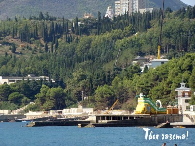 В Крыму снесли 1,5 тысячи деревьев в парке