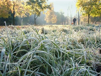 В Крыму уже ждут заморозков (фото из интернета)