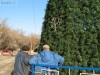 Городскую елку Феодосии откроют в День Святого Николая