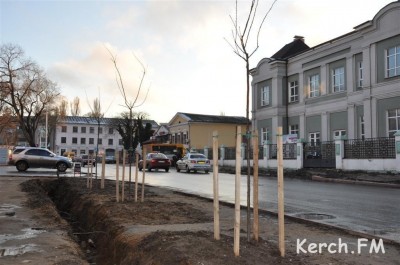 В Керчи начали деньги на саженцы собирать с людей