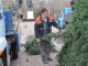 К 19 декабря в Феодосии установили городскую елку