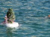 В Крыму моржи устроили новогодний заплыв с елкой (фото+видео)