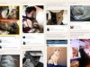 Создали соцсеть для любителей котов