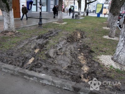 В Симферополе уничтожают дорогой газон