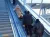 В Симферополе дорогой эскалатор на вокзале вынуждены использовать как обычную лестницу (фото)