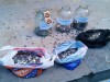 В Крыму собирали мелочь для министра (фото+видео)