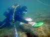 С мая в Крыму начнутся экскурсии в затопленный город