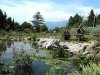 Никитский ботсад в Крыму покажет посетителям лазерное шоу 