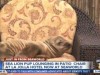 Морской лев в США пробрался в гостиницу и сел в кресло