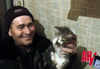 В Крыму вызволили котенка из стены дома