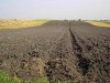 На востоке Крыма селяне опасаются, что их дома станут зеленой зоной