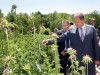Премьер Крыма погулял в цветах и рассказал о строительстве нового завода