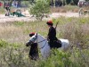 В Крыму прошла реконструкция события Крымской войны (фото)