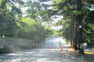 В Крыму снова появилась нелегальная парковка у Никиты В Крыму снова появилась нелегальная парковка у Никиты