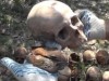 В Крыму нашли 56 скелетов советских десантников (видео)