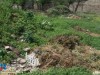 Крымчане обещают перекрыть трассу из-за свалки с огромными крысами