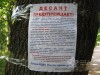 Ветераны ВДВ в Крыму открестились от ряженых десантников (фото)