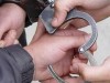В Украине может появиться аналог ФБР