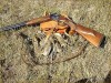 В Крыму начинается сезон охоты на дичь