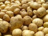 Азаров обвинил СМИ в создании ажиотажа цен на картошку