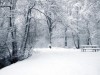 В Крыму сегодня уже пошел первый снежок