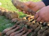На крымском поле собрали 100 кило взрывчатки (фото)