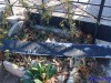 Милиция сорвала оскорбляющие власть таблички с севастопольской бани (фото)