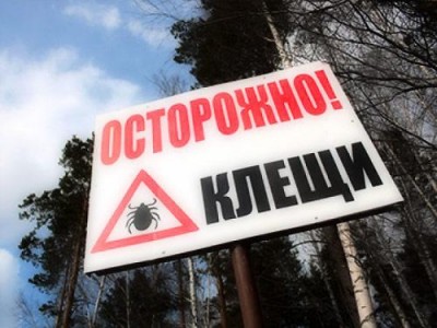 В Крыму начали активничать клещи